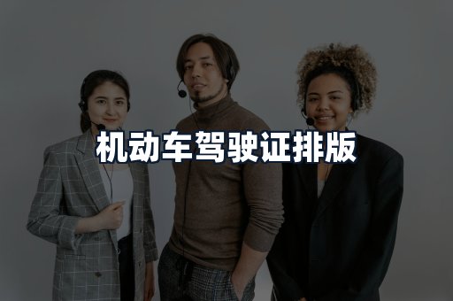 机动车驾驶证排版